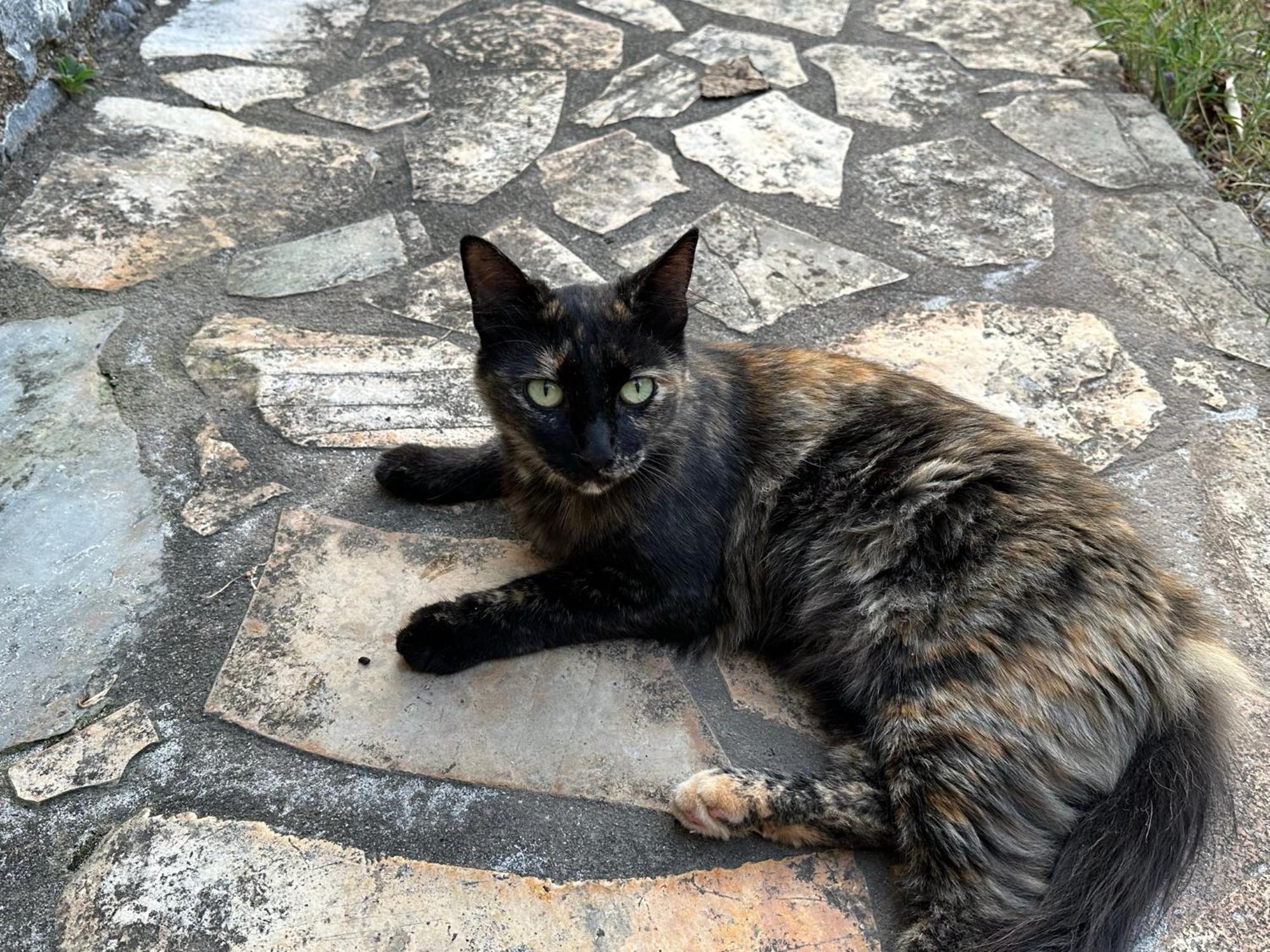 Villa Pefnos Άγιος Νικόλαος Εξωτερικό φωτογραφία